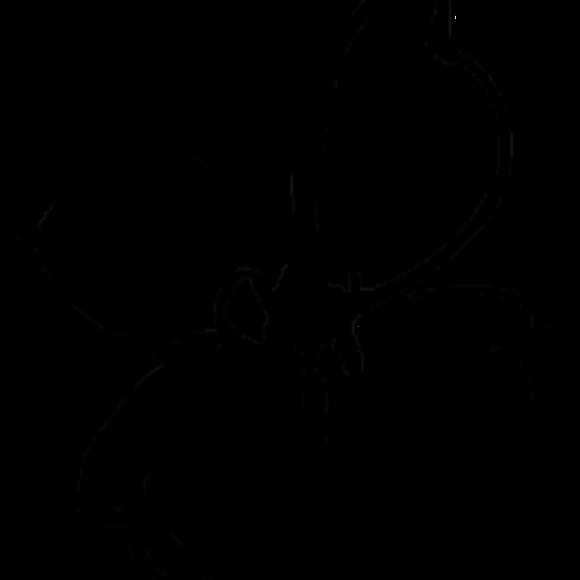 Meet your Posher, Amanda - Picture 1 of 1